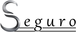 SEGURO
